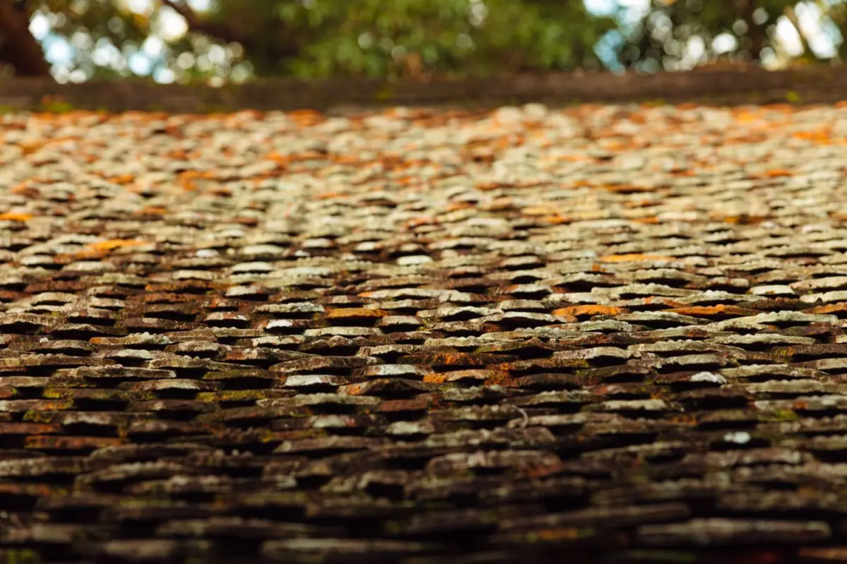 Roof Coatings & Sealing in Naperville, IL
